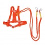 Chest Safety Belt